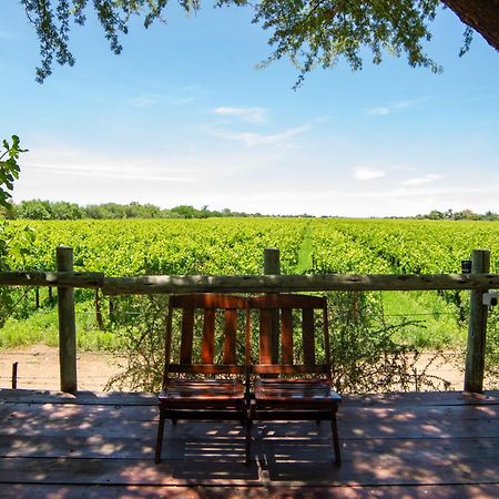 Upington African Vineyard Boutique Hotel & Spa Keimoes Exterior foto