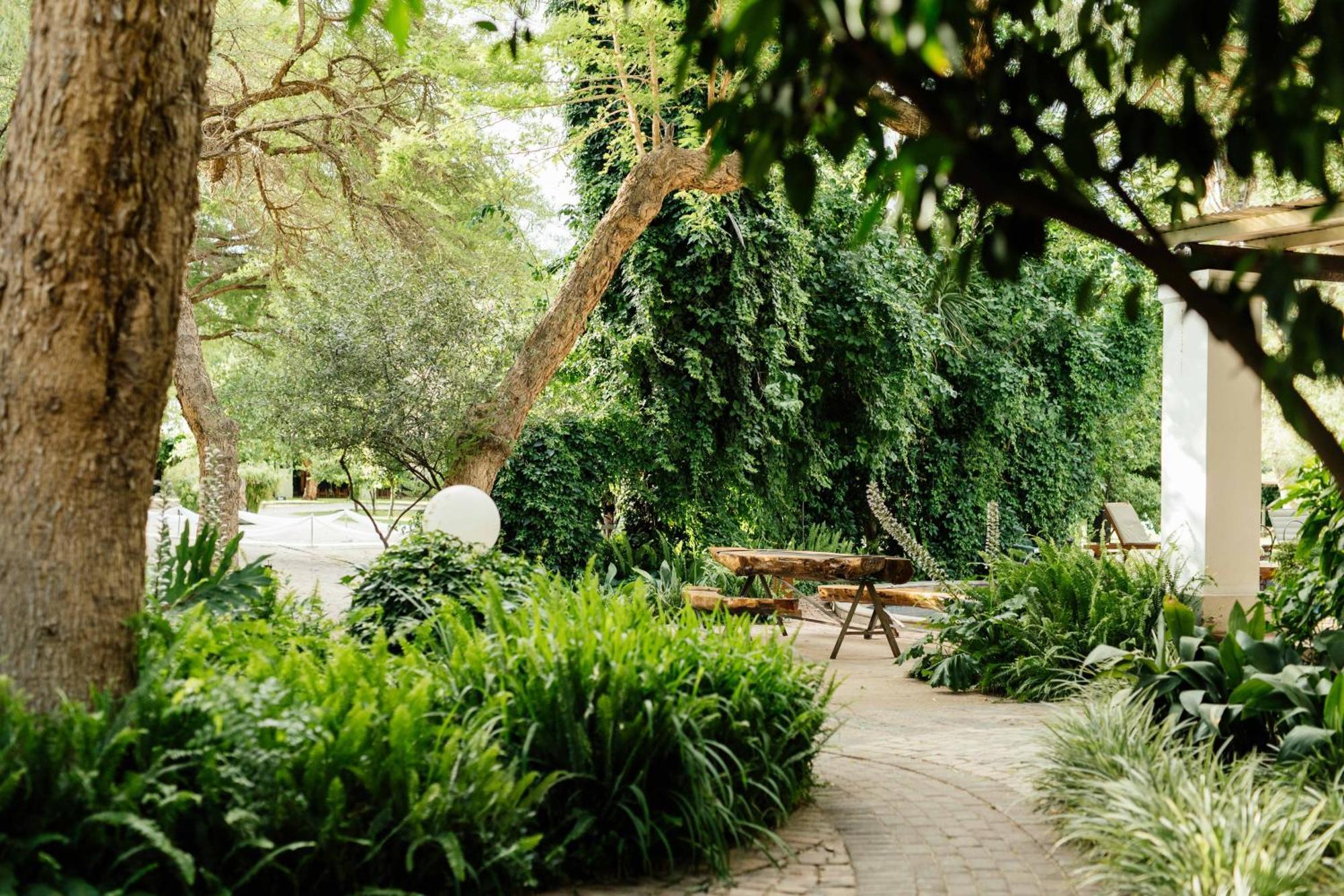 Upington African Vineyard Boutique Hotel & Spa Keimoes Exterior foto
