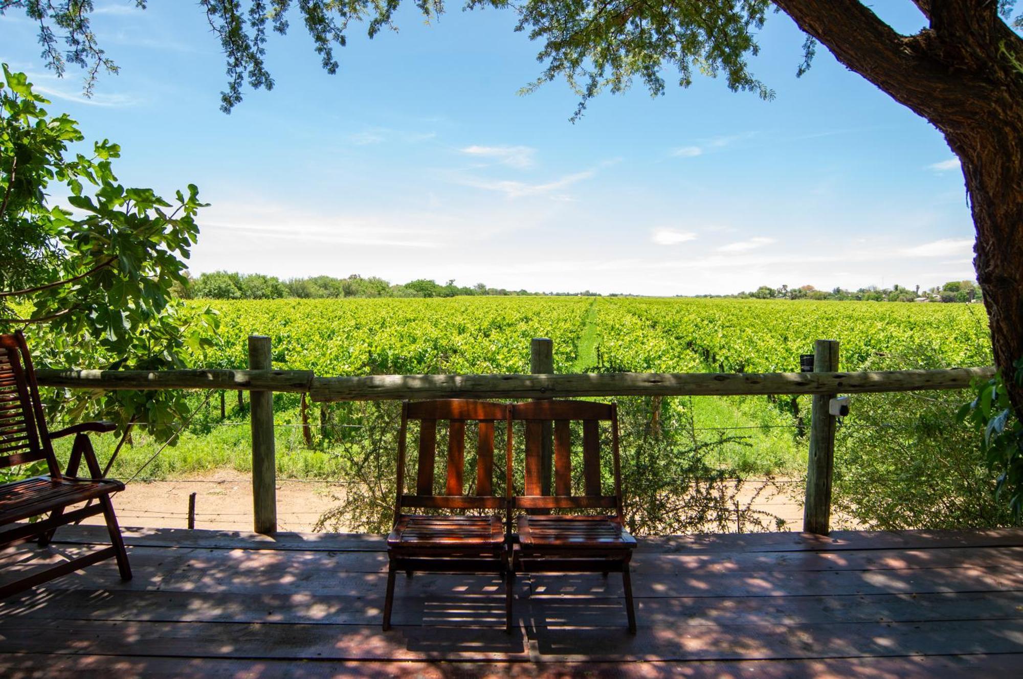 Upington African Vineyard Boutique Hotel & Spa Keimoes Exterior foto